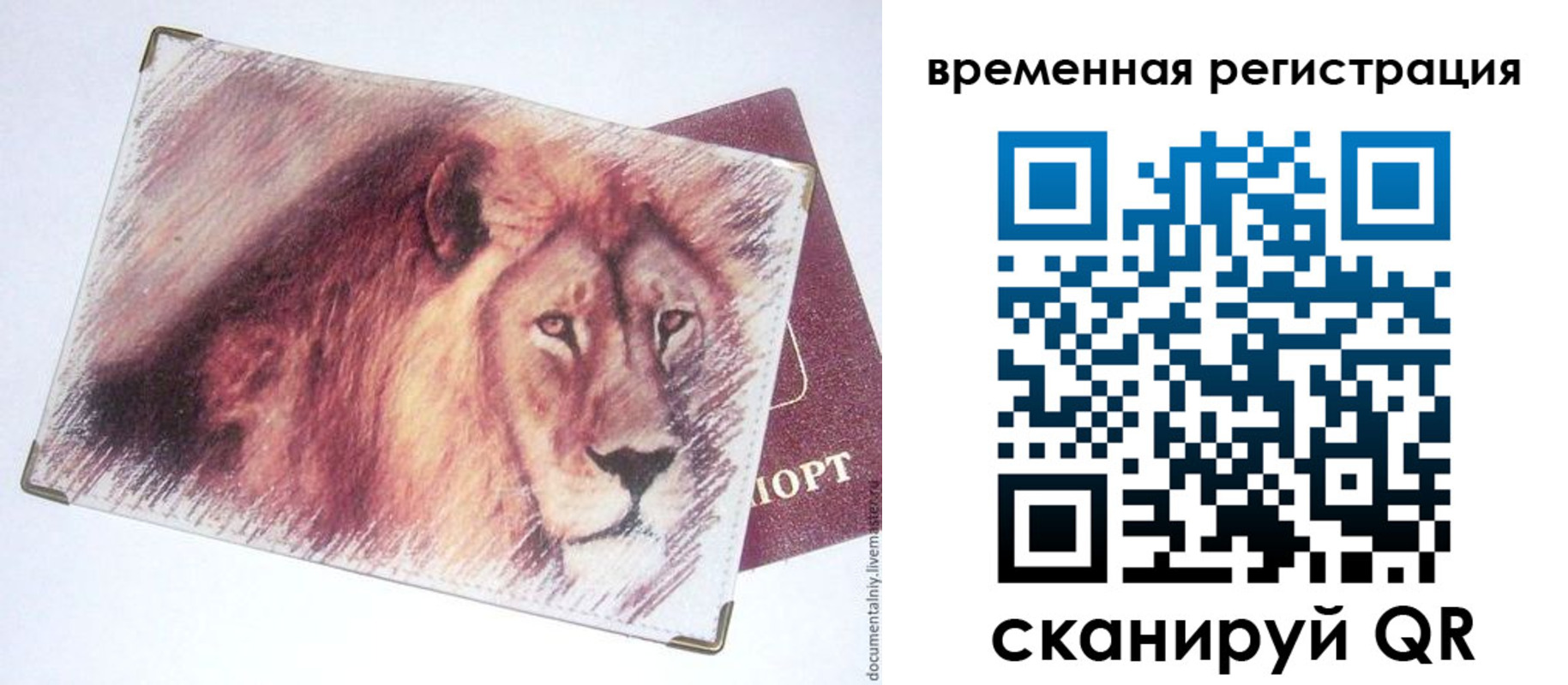 прописка гарантия в Липецкая области